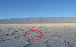 Vì sao sa mạc muối ở Thung lũng Chết lại có hình dạng “tổ ong”?