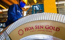 Tuyên bố lãi ngân hàng 6,5%/năm thì Hoa Sen không vay, xuống 6,2% mới vay, ông Lê Phước Vũ: "Xưa các anh ăn tôi thì nay tôi ăn lại"