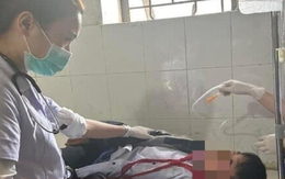 Hà Tĩnh: 11 học sinh nhập viện sau khi ăn phải quả ngô đồng