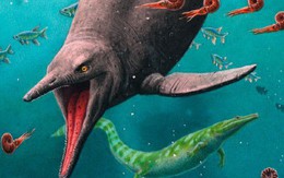 Ngư long cổ xưa nhất thế giới hiện ra ở Bắc Cực sau 250 triệu năm