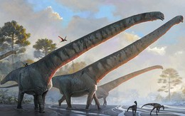 Siêu quái vật Trung Quốc 162 triệu tuổi: Chỉ phần cổ đã dài 15 m