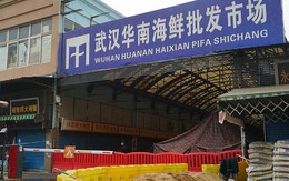 Manh mối mới về nguồn gốc COVID-19 lộ diện ở chợ Vũ Hán
