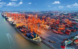 Cảng biển Việt Nam có lượng lưu thông hàng hóa và cho phép tiếp cận tàu container lớn nhất thế giới