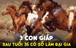 Sau tuổi 35, có 3 con giáp chỉ đợi một bước chuyển nổi bật, có số làm đại gia: Nếu không lưu ý dễ vuột ngay thời cơ vàng