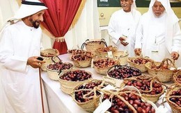 Một loại trái cây được các đại gia Dubai yêu thích, tượng trưng cho sự giàu sang, nhưng lại bị "bỏ quên" trên cây không ai thèm hái ở Trung Quốc