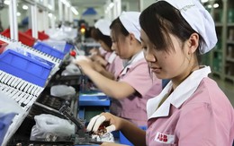 Cô gái Trung Quốc cất bằng đại học để xin làm công nhân, sẵn sàng làm việc 12 tiếng/ngày - Vấn đề nằm ở đâu?
