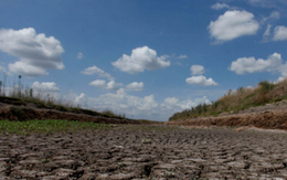 Thế giới có thể hứng chịu nhiệt độ cao kỷ lục vào năm 2023 khi El Nino quay trở lại