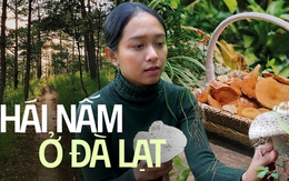 Hái nấm ở rừng thông: Trải nghiệm lý thú mà các gia đình nhất định phải thử vào mùa mưa tại Đà Lạt