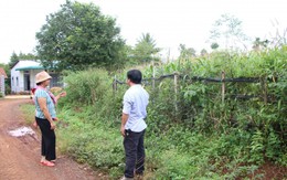 Giá đất làng quê Thanh Hoá, Nghệ An giảm, nhà đầu tư cắt lỗ vẫn khó thoát hàng