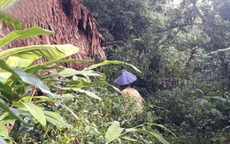 Gia đình sống gần như tuyệt giao với xã hội ở Thanh Hóa: Khai quật khu vườn bí ẩn, tìm thấy vô số sắt thép