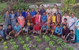 Pabhoi: Ngôi làng của Ấn Độ chuyển mình nhờ nông nghiệp