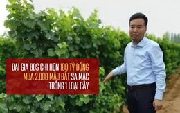 Đại gia BĐS "khùng" làm giàu kiểu không giống ai: Bỏ hơn 100 tỷ đồng mua 2.000 mẫu đất sa mạc cằn cỗi để trồng 1 loại cây, 10 năm sau hốt bạc mỏi tay