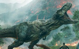 Hai chân trước có kích thước tí hon của khủng long Tyrannosaurus rex có tác dụng gì?