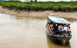 Tạm dừng tham quan Vườn Quốc gia Xuân Thủy sau vụ phụ huynh và học sinh tử vong