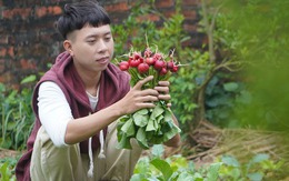 Thanh niên nhớ quay quắt vị cơm tấm, bún bò khi bỏ phố, tiết lộ 3 điều phải lường trước nếu chọn sống ở quê