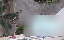 Hà Nội: Bé gái 4 tuổi rơi từ tầng 12 chung cư xuống đất