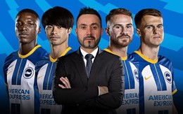 Brighton & Hove Albion: Mòng biển hay đại bàng?