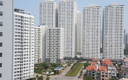 Kỳ lạ nhà đầu tư vẫn lãi tiền tỷ giữa lúc thị trường khó bán: “Xuống tiền mua, tôi chắc chắn sẽ có lãi”