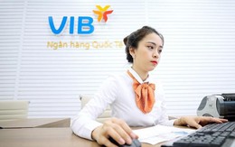 Một công ty con của VIB thu 10 đồng lãi tới 7, được ngân hàng dồn dập tăng vốn gấp 8 lần chỉ trong nửa năm