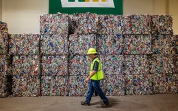 Từng bị "bỉ bôi" nhưng những cổ phiếu này đang tạo ra cơn sốt ở Phố Wall, nhà đầu tư tranh giành sợ bỏ lỡ món hời