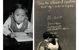 Vì sao có IQ 210, 8 tuổi vào làm ở NASA nhưng thần đồng Hàn Quốc phải về học lại cấp một, bị người đời chỉ trích là "thất bại"?