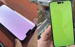 Tin vui cho người dùng iPhone 13 Pro/Pro Max bị lỗi màn hình