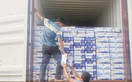 Bắt giám đốc công ty nhập lậu sữa từ Mỹ về Việt Nam