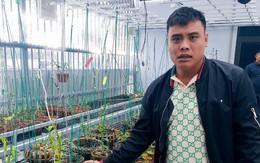 Truy tố 2 "đại gia sinh đôi" lan đột biến ở Quảng Ninh