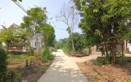 Nỗi khổ của nhà đầu tư gồng lãi ngân hàng: Chấp nhận bán nhà trung tâm Thủ đô, "nuôi" bất động sản ở tỉnh