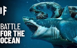 Điều gì sẽ xảy ra nếu cá mập Megalodon chiến đấu với loài trăn khổng lồ Titanoboa?