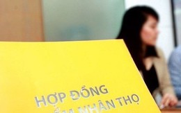 Thông tin mới về thanh tra 4 doanh nghiệp bảo hiểm nhân thọ