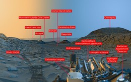 NASA công bố ảnh "thế giới đầy sự sống" ở hành tinh khác