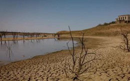 Cuộc chiến giành nước: Châu Âu gióng lên hồi chuông cảnh báo về tình trạng khan hiếm nước trong mùa hè khắc nghiệt