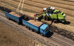 Nga không đồng ý gia hạn thỏa thuận ngũ cốc Biển Đen