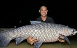 Đại gia chi 50 triệu đồng mua 'thủy quái' trắm đen hơn 40 kg