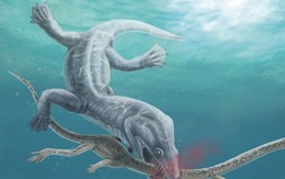 Tìm thấy quái vật biển khổng lồ 240 triệu năm tuổi bị xé toạc đầu