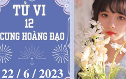 Tử vi vui 12 cung hoàng đạo ngày 22/6: Ma Kết kiên định, Bảo Bình thuận lợi