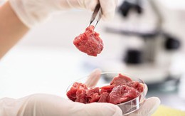 Mỹ cho phép bán thịt gà nuôi cấy trong phòng thí nghiệm