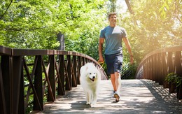 Đi bộ tốt cho sức khỏe nhưng làm thêm 3 điều này khiến bệnh tim mạch, ung thư tránh xa