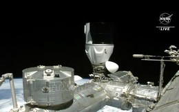 Tàu vũ trụ Dragon của SpaceX mang nhiều mẫu vật không gian về Trái Đất