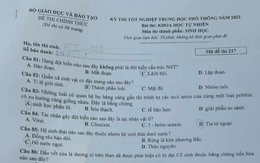 Đề thi và gợi ý lời giải môn Sinh học tốt nghiệp THPT năm 2023