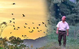 Lão nông gần 10 năm bỏ tiền "xây nhà" cho hàng vạn con cò: "Nhiều người bảo tôi khùng, nhưng tôi cứ làm"