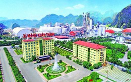 Công ty xi măng của em trai bầu Thuỵ báo lỗ 30 tỷ năm 2022, khối tài sản tỷ đô được tạo nên chủ yếu từ 16.000 tỷ nợ phải trả