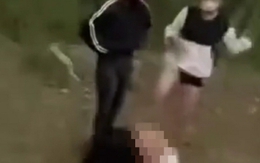Vụ nữ sinh bị lột đồ, đánh hội đồng suốt 2 giờ: Nhóm thiếu nữ thừa nhận đánh bạn
