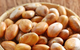 Loại hạt "cải lão hoàn đồng" được người Nhật bày bán ở siêu thị với giá lên đến 200.000 đồng/kg