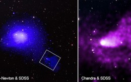 NASA chụp được quái vật khủng khiếp nhất vũ trụ, nuốt cả cụm thiên hà