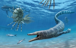 Phát hiện hóa thạch thương long lâu đời nhất ở Bắc Mỹ