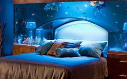 Có nên đặt bể cá trong phòng ngủ?