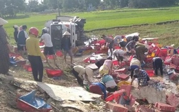 Dân Quảng Trị đội nắng, lội ruộng gom lại 5 tấn cá giúp tài xế xe tải bị lật