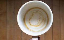 Cách tốt nhất để đánh bay những vết ố trong cốc cà phê